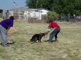 Barak Training May.2011