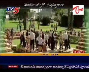 Vienna Orchestra with amaging Vegitable Instruments @ Australia