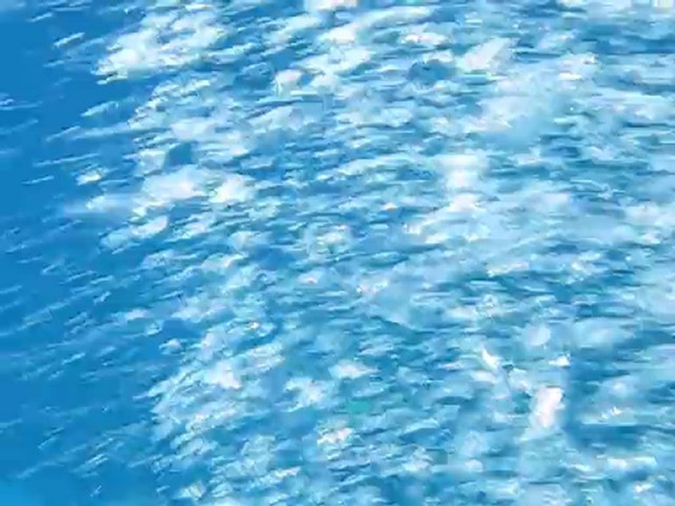 CI11GEAV