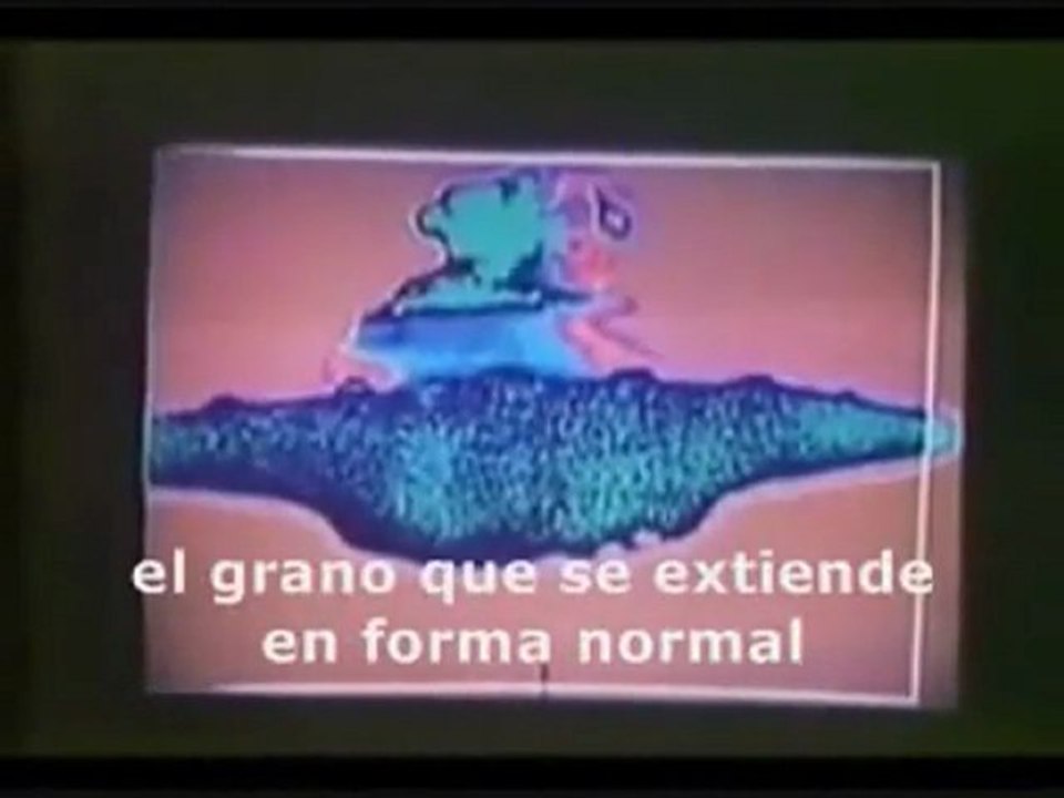 Billy Meier - Contact 1978 - Parte 1/2 - Documental OVNI / UFO