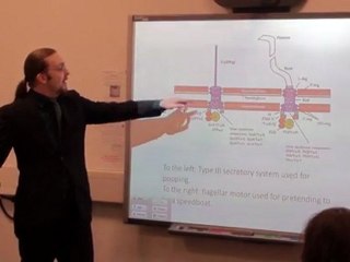 Heini Reinert - Intelligent Design