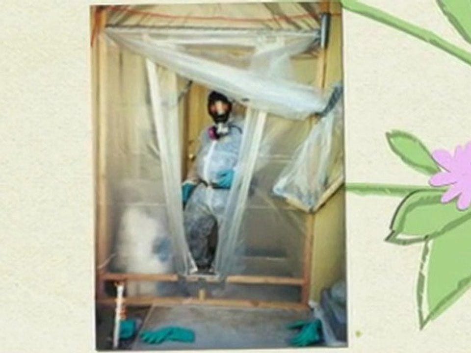 South Jersey Mold Remediation- Perfect Answer for Your Needs