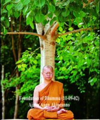 Foundation of Dhamma