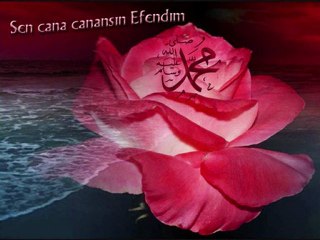 GÖNÜLLERİN SULTANI MUHAMMEDİLERİN İMAMI ABDULLAH MURAD ŞÜKRÜOĞLU EFENDİMİZ