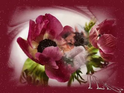 yoluna yoldaş olam (YJANUARY )