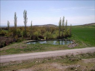 Mesut Salman - Olmaz Olsun