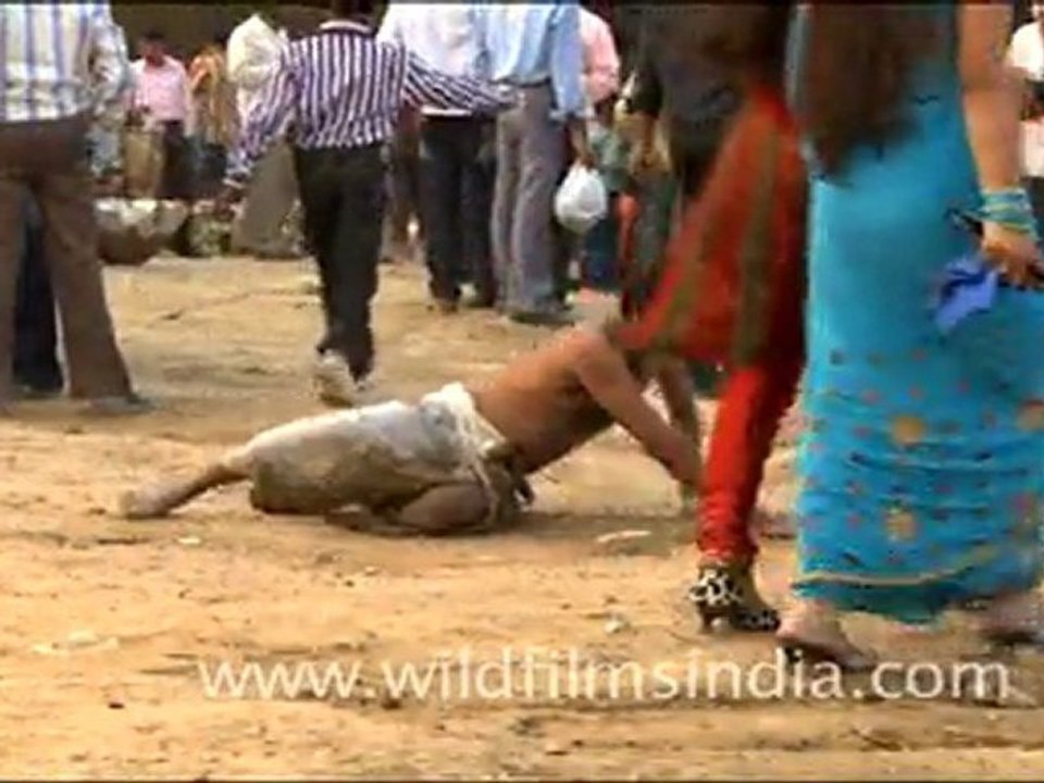 Chatt Pooja in India
