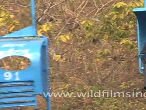 People enjoying trolley ride in Rajgir
