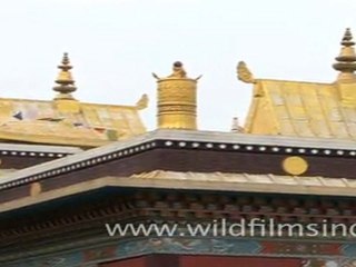 Tibetan Monastery, Bihar