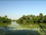 Keoladeo Ghana National Park, Bharatpur