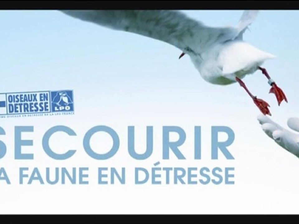 Secourir la faune en détresse