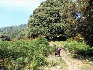 Randonnée sur le mont Taglio