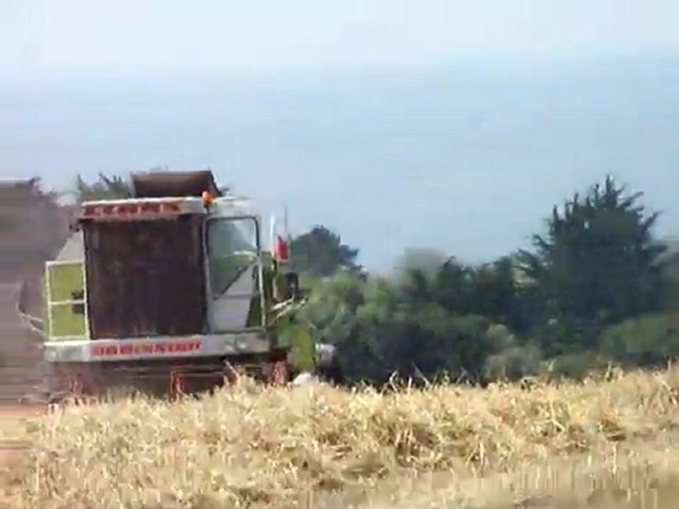 Moisson blé 2011 finistére CLASS