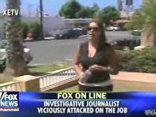 Compilation of reporters getting owned