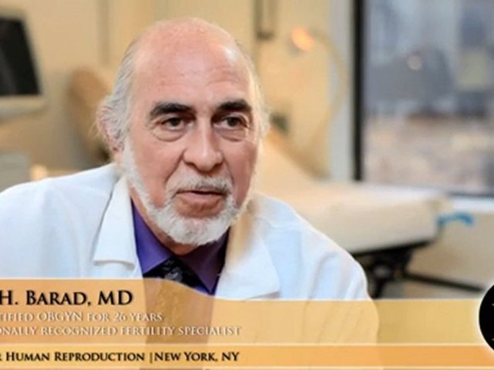 IVF - In Vitro Fertilization