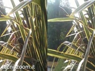 LG Optimus 3D video prova funzionalità 3D