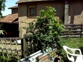 cocotte-phedre2.7.2011