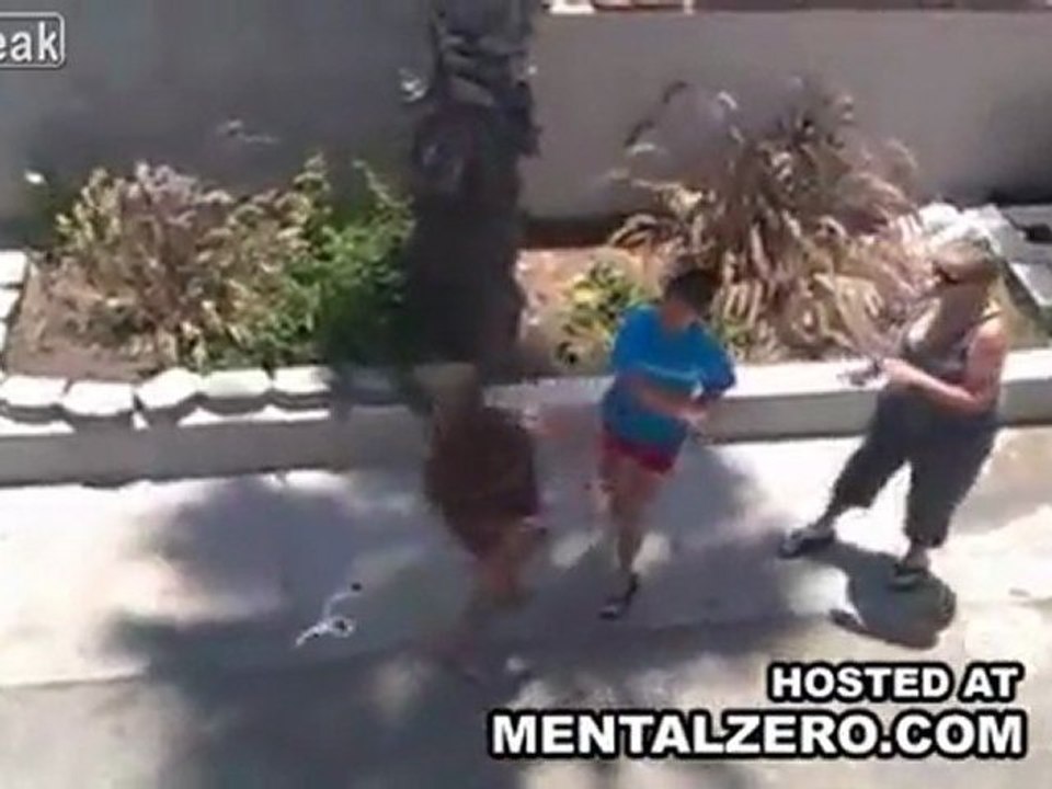 Fight Girl