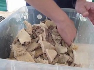 Des goûts, des odeurs (Candidat n°5)