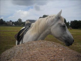 Dimanche 10 juillet 2011