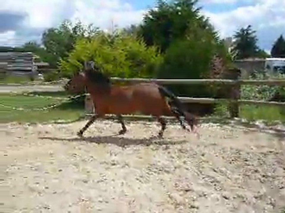 Boiterie3.MOV