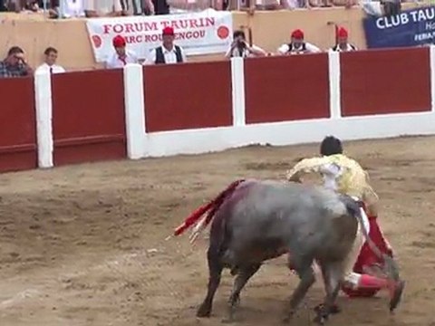Martinev corrida Céret travail muleta