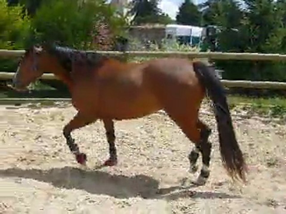 Boiterie5.MOV