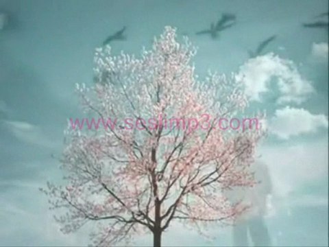 Yıldız Tilbe sevemedim Ayrılığı