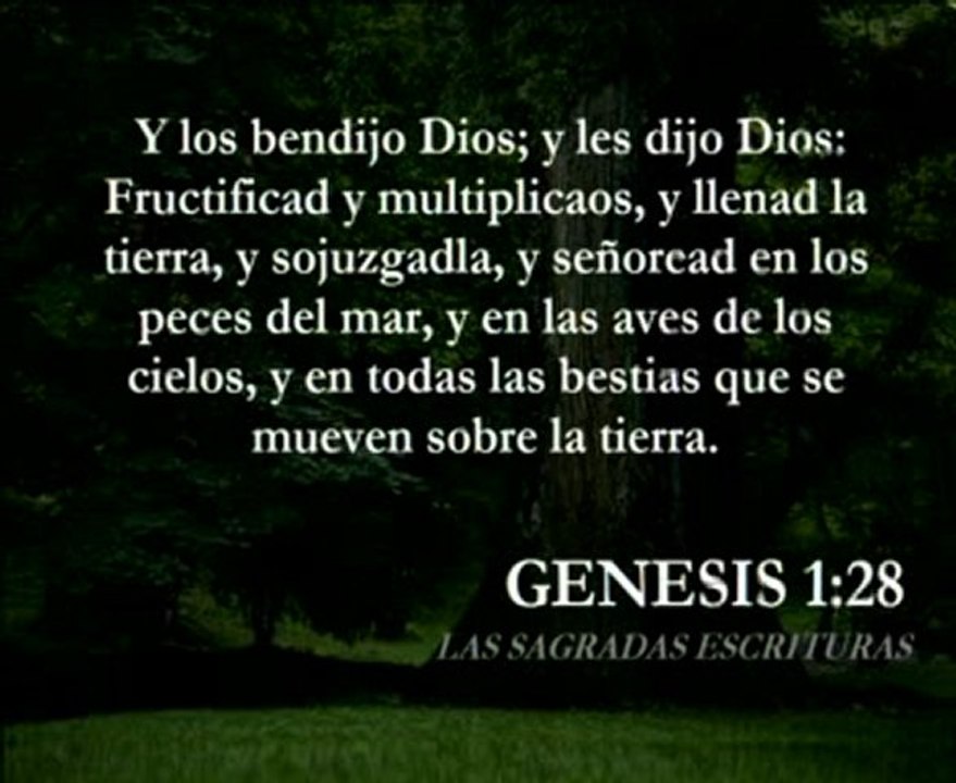 Parte 2 - Usando la Biblia correctamente