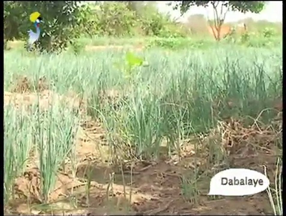 DABALAYE FRANCAIS  11-07-11