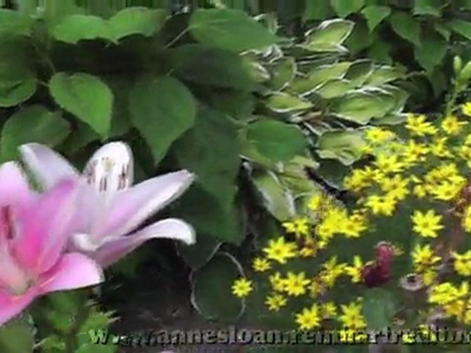 1614 Longshore Dr. - Ann Arbor, MI - Anne and John Sloan, Charles Reinhart Realtors