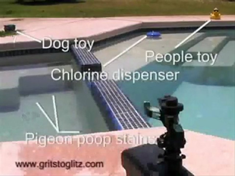 GOOSE CONTROL - how to get rid of Canadian Geese