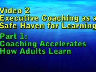 Video 2 Part 1 Executive Coaching as a Safe Haven for Learning