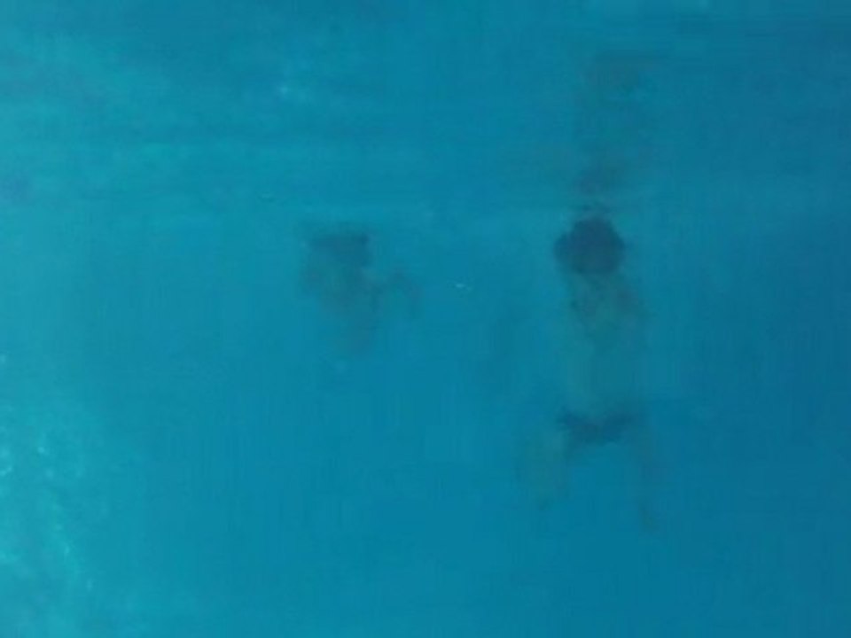 Plongeon