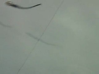 Video picoleau Delalande Pêche