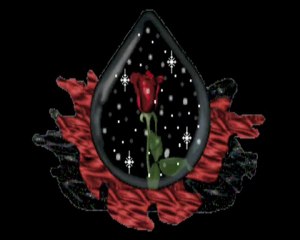 Elmas Balım Çalışmaları