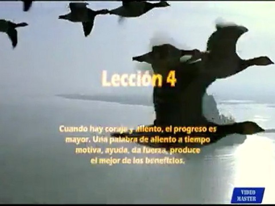 Aprendamos de los Gansos