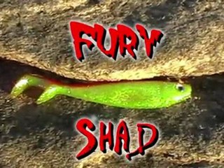 Fury Shad Delalande Pêche