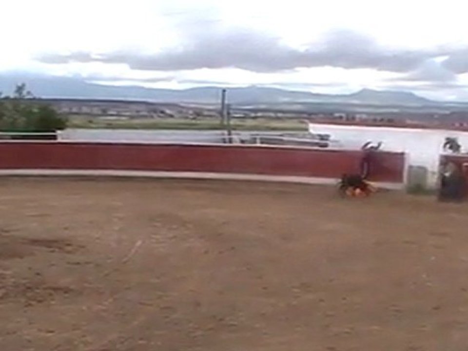 Despedidas de solteros en Logroño.