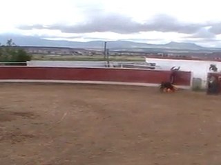 Despedidas de solteros en Logroño.