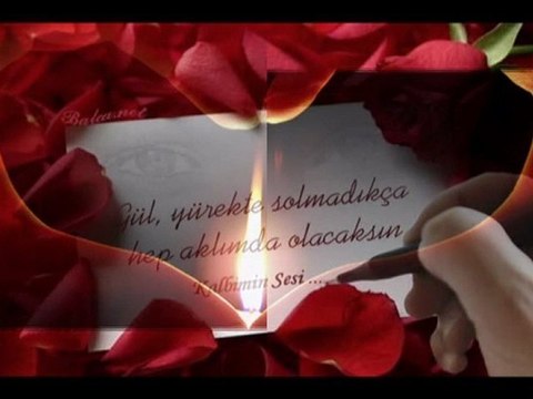 Zafer Peker - Anlamazsın