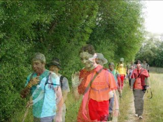 Ballade du Spiridon à la Chaussée juillet 2011