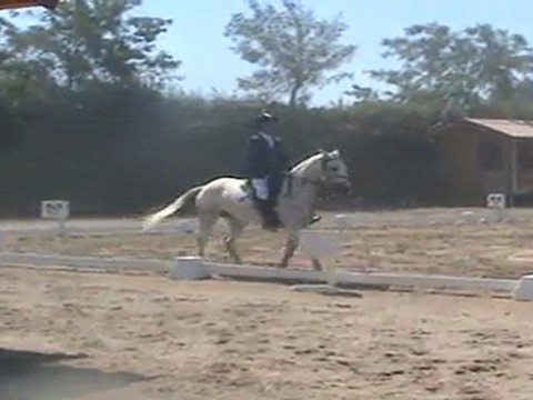 CCE P1D - Axel & Otello - Dressage