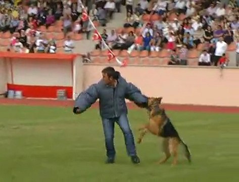 Cumhurbaşkanı Gül, Polis Akademisi mezuniyet törenine katıldı