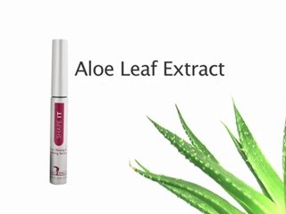 Start Taking Care of your Eyebrows  - Waxing