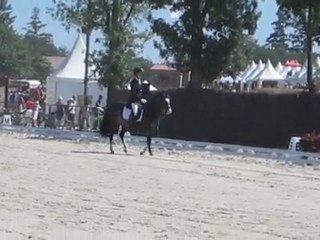 Dressage Ponam B élite