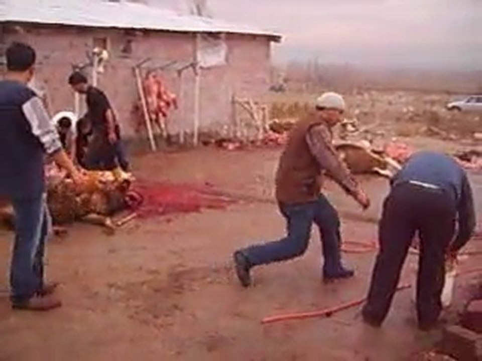kurban bayramı