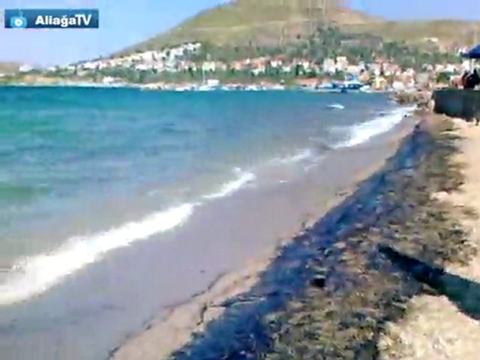 YENİFOÇA SAHİLLERİ ZİFT İÇİNDE!