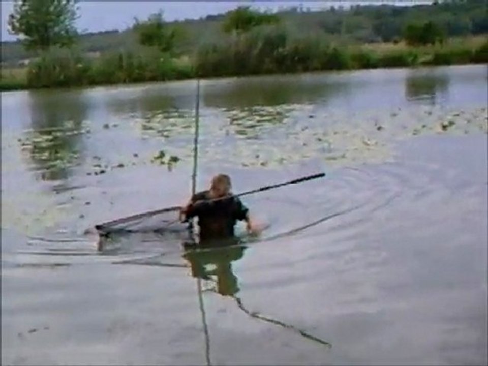 transfullcarp's