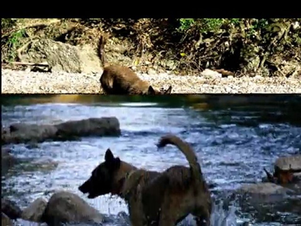 La baignade de Tana dans l'Arc